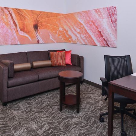 Springhill Suites By Marriott Oklahoma City Airport Екстер'єр фото
